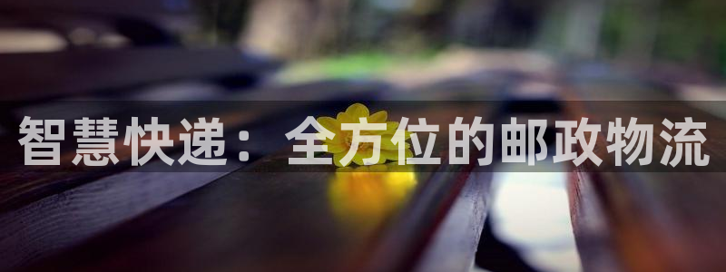 狗子28辅助：智慧快递：全方位的邮政物流