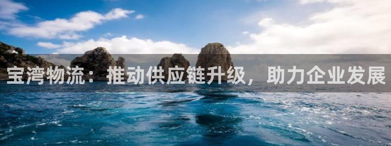狗子28官网下载链接是什么网站：宝湾