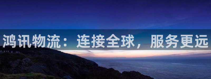狗子28模拟：鸿讯物流：连接全球，服