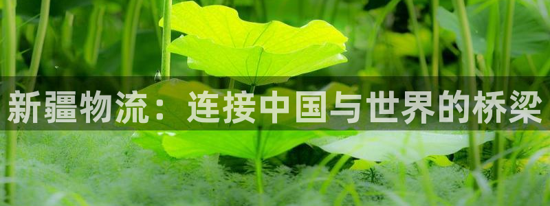 狗子28官网入口正版：新疆物流：连接