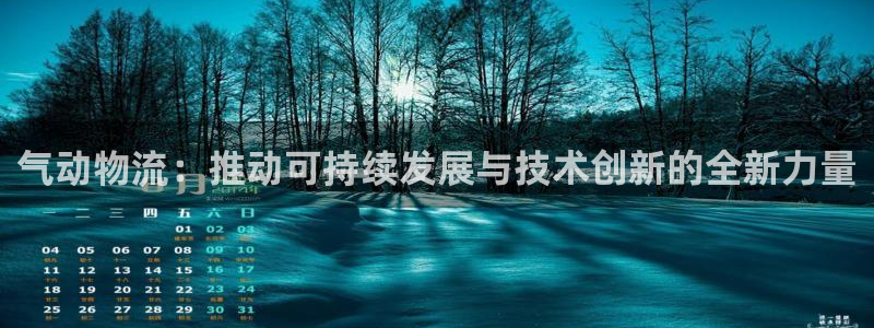 狗子28官方版网站：气动物流：推动可