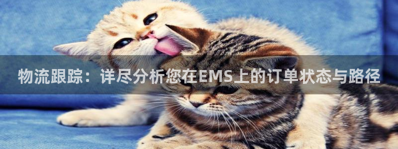狗子28模拟器下载：物流跟踪：详尽分