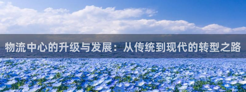 狗子28辅助：物流中心的升级与发展：