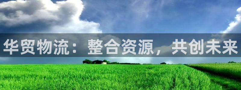 自行车狗子28是什么意思：华贸物流：
