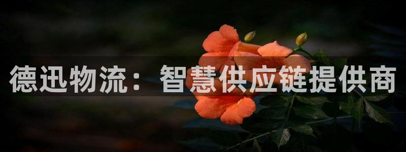 狗子28注册平台：德迅物流：智慧供应