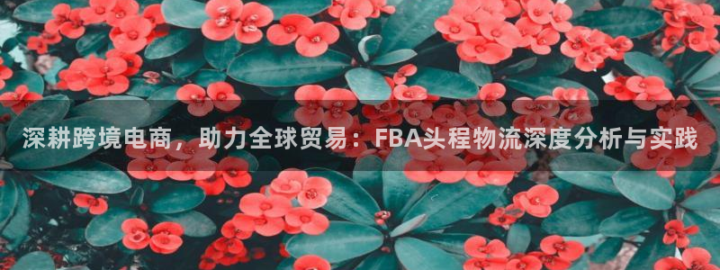 狗子28p扣款什么意思：深耕跨境电商