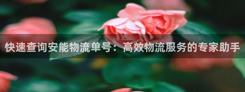 狗子28充值不到账怎么回事：快速查询
