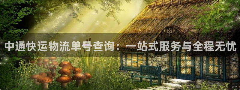 狗子28口戒指是多大：中通快运物流单