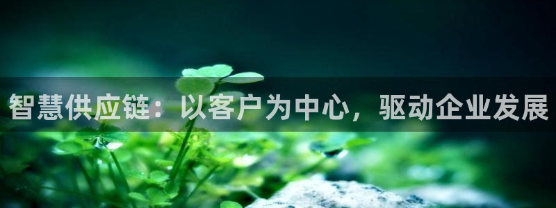 狗子28为什么没有赢过一次：智慧供应