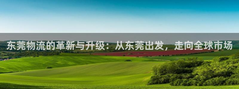 狗子28头像：东莞物流的革新与升级：
