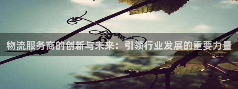 狗子28p图上分下款通道：物流服务商