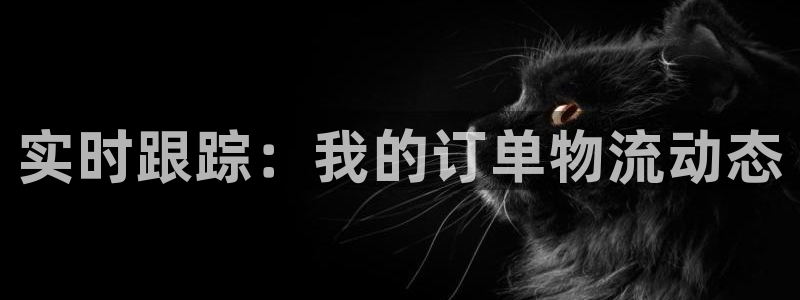 狗子28注册网址：实时跟踪：我的订单