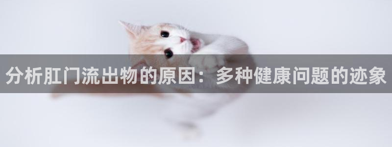 狗子28推广链接是多少个：分析肛门流