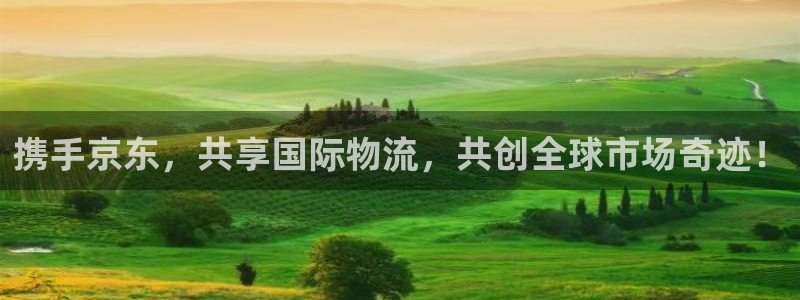 狗子28怎么注册游戏名字：携手京东，