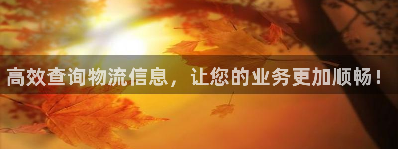 狗子28游戏官网版：高效查询物流信息