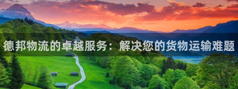 狗子28官网网站：德邦物流的卓越服务