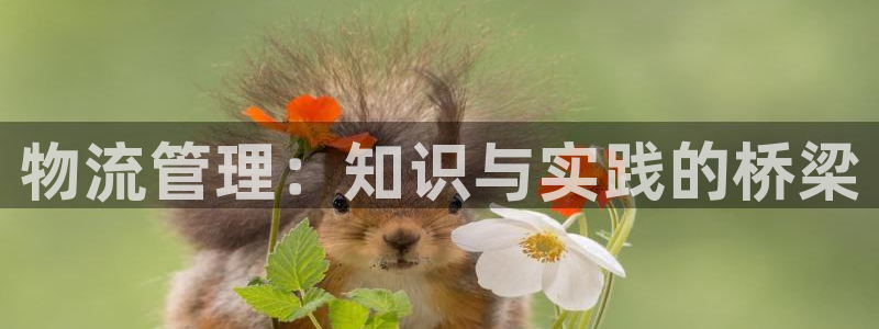 狗子28官网下载谁有：物流管理：知识
