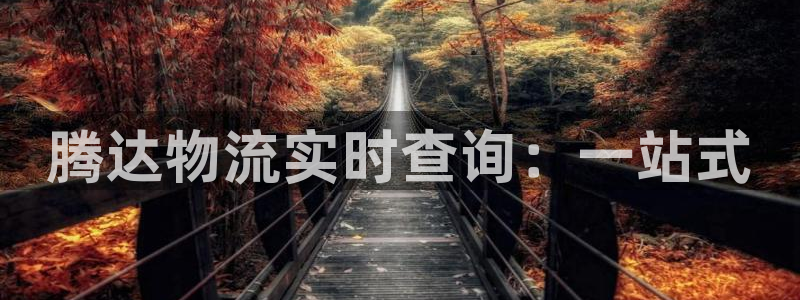 狗子28注册上限是啥意思：腾达物流实