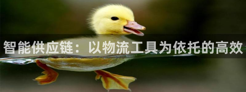 狗子28软件：智能供应链：以物流工具