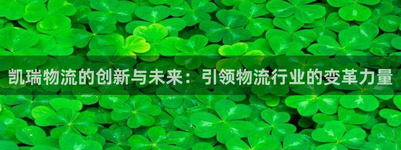 狗子28注册问一问：凯瑞物流的创新与