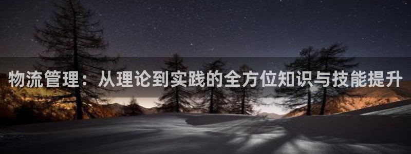 狗子28黑款：物流管理：从理论到实践