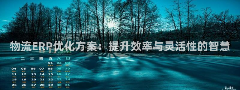 狗子28ccm游戏：物流ERP优化方