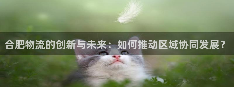 狗子28怎么下载不了:合肥物流的创新