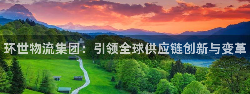 狗子28登录不上咋回事:环世物流集团