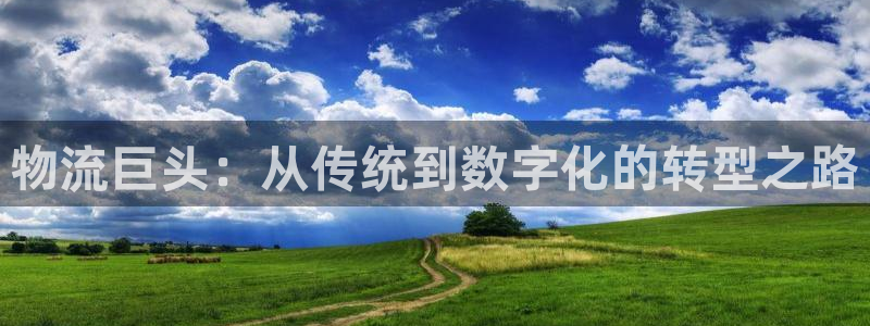 狗子28正规吗：物流巨头：从传统到数