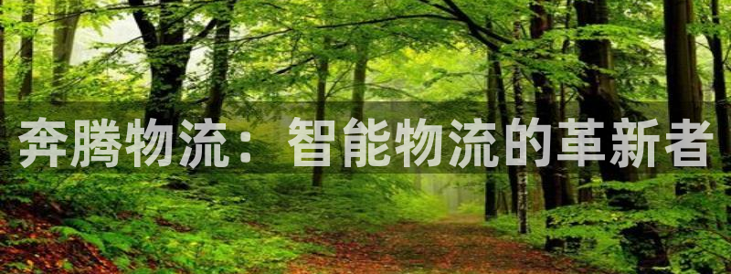 狗子28黑平台吗：奔腾物流：智能物流