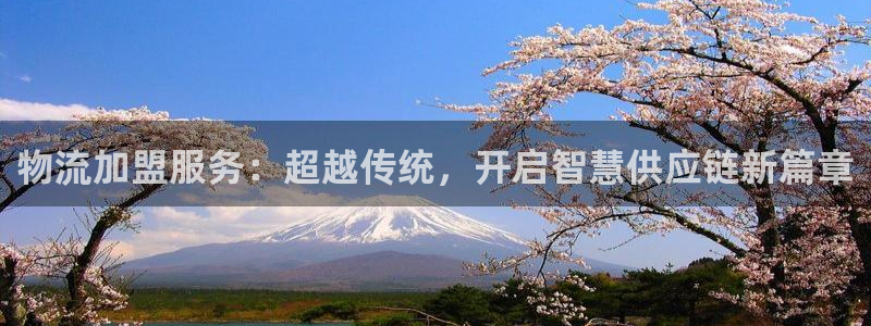 狗子28cn：物流加盟服务：超越传统