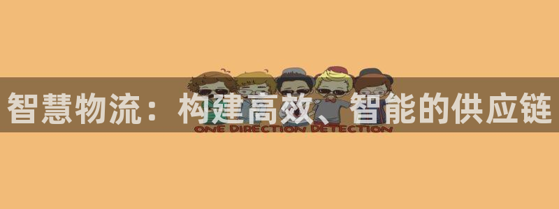 狗子28的自行车：智慧物流：构建高效