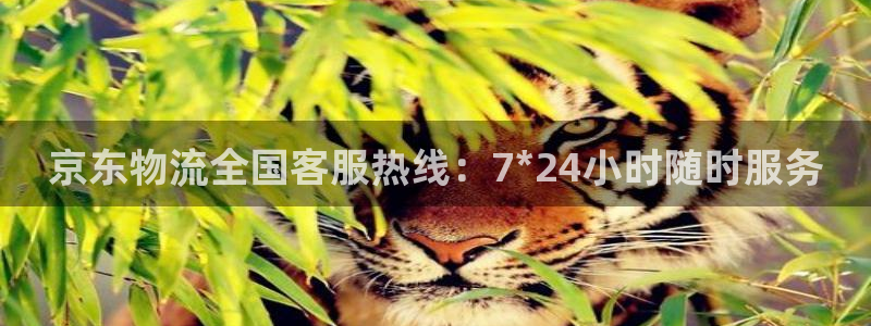 狗子28网站平台：京东物流全国客服热