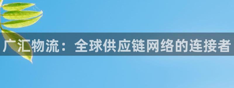 狗子28圈：广汇物流：全球供应链网络