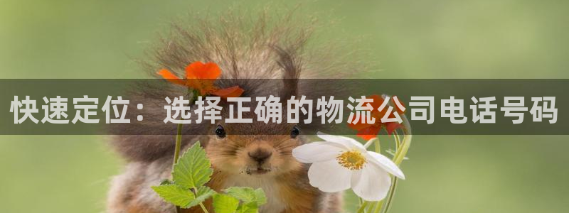 狗子28如何退款：快速定位：选择正确