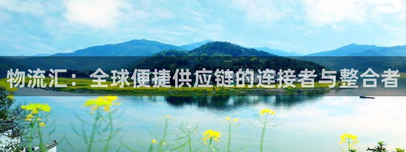 自行车狗子28是什么意思：物流汇：全