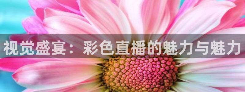 看球吧中超直播