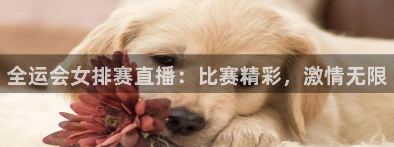 看球吧在线观看：全运会女排赛直播：比赛精彩，激情无限