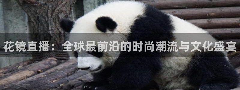看球吧在线观看免费直播：花镜直播：全球最前沿的时尚潮流与文化盛宴