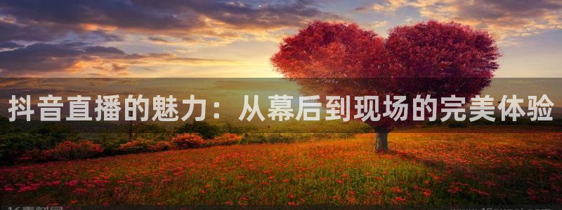 nba在线直播观看直播看球吧：抖音直播的魅力：从幕后到现场的完美体验