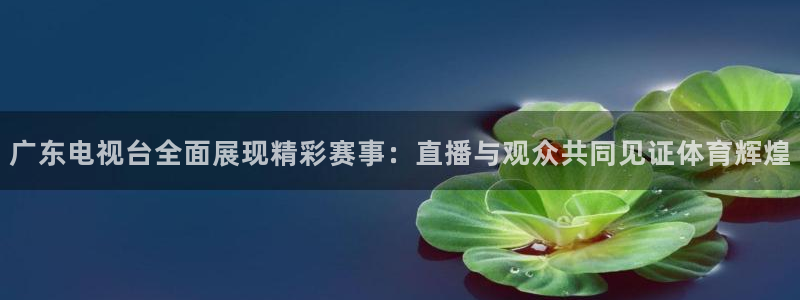 nba视频直播无插件看球吧：广东电视台全面展现精彩赛事：直播与观众共同见证体育辉煌
