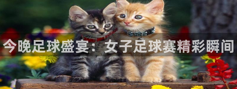 看球吧nba在线高清免费：今晚足球盛宴：女子足球赛精彩瞬间