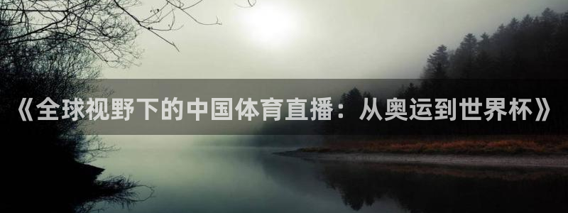 jrs直播看球吧：《全球视野下的中国体育直播：从奥运到世界杯》